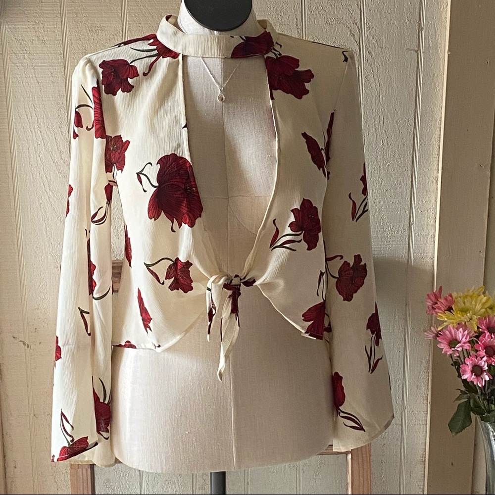 Akira Floral Crop Tie Knot Top